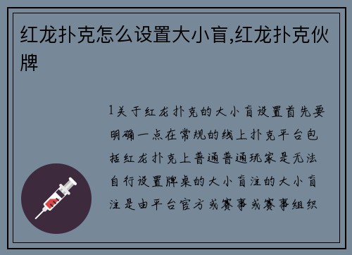 红龙扑克怎么设置大小盲,红龙扑克伙牌
